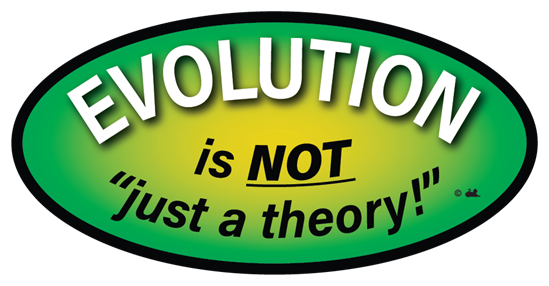 Buy Evolution is Not "Just a Theory! Science Sticker