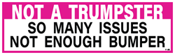 Not a Trumpster: So Many issues not enough bumper